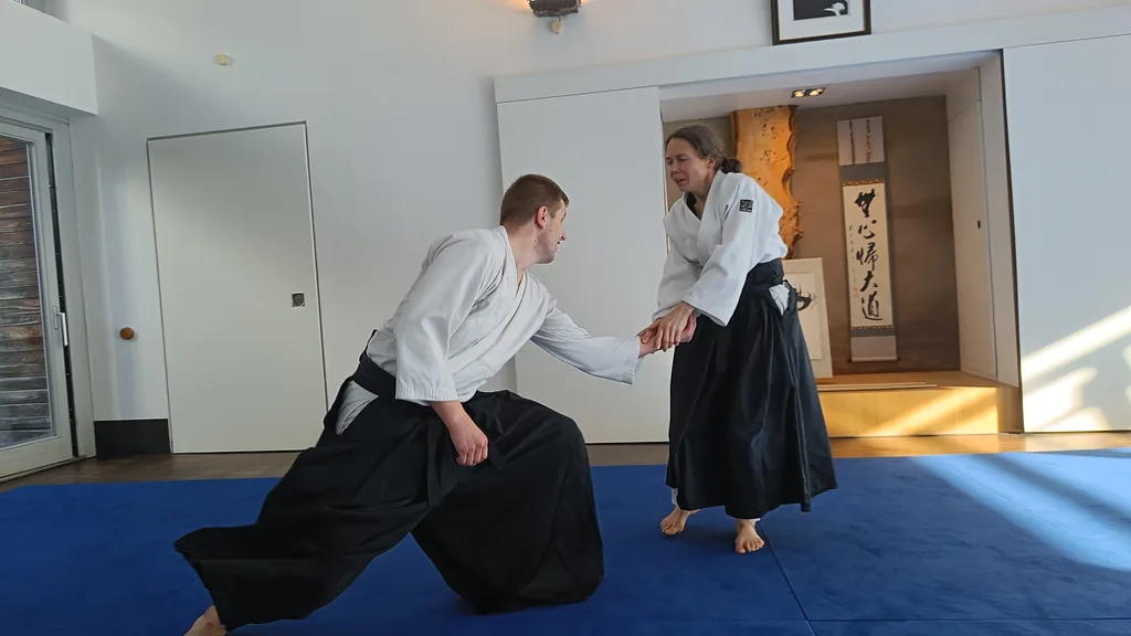 Aikido vs BJJ – Similarities and Differences