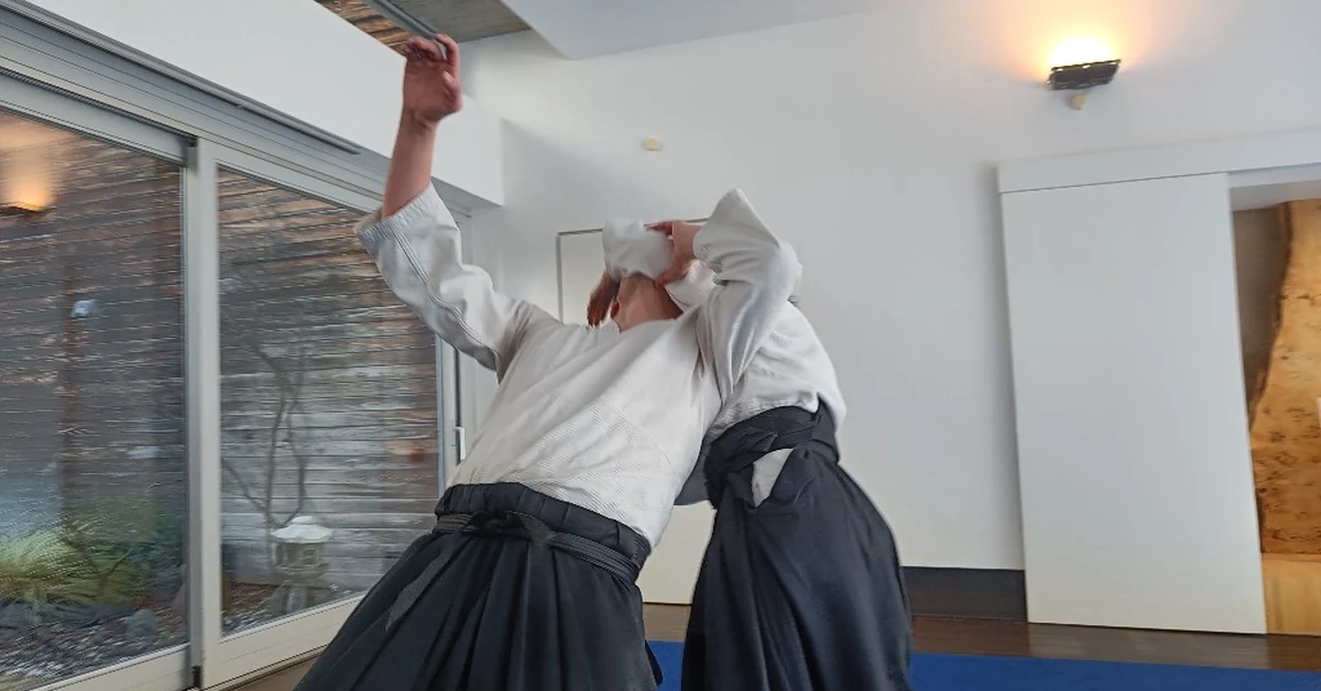 Aikido: Koneen ja operaattorin tanssi